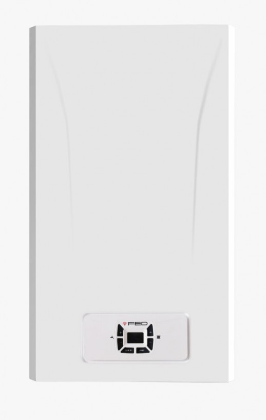 Котел газовый настенный FED 24 2-конт. с дисп.